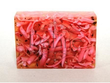 ��������������� ���� ���������.