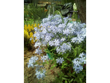 IMG 20160528 121818.jpg