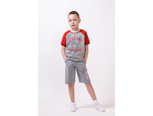 Phoca thumb l 1-715 1-728.jpg