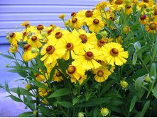 �������� ������