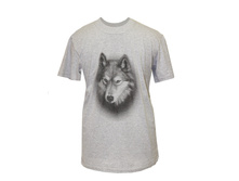 ������: ��-02. ��� �� �����: 1179  ����: 249 ������