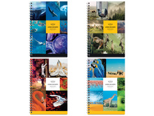 ������� 96�. �5 ������ �� ������ ��������. Living on earth, ������� ������� 59,82.jpg