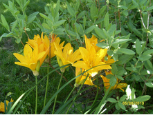 �������� ������ ������