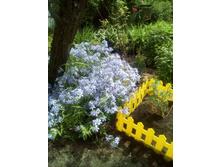 IMG 20160528 121717.jpg