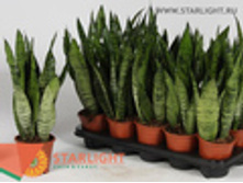 ���������� ��������� (40) 655.00