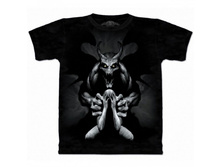 Productvar 100379.jpg