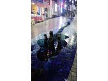 IMG 20160418 203249.jpg