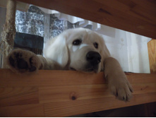 IMG 20160423 222516.jpg