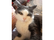 IMG 20160521 093736.jpg