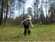 ������ �����!