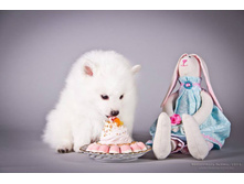 � ��������.jpg