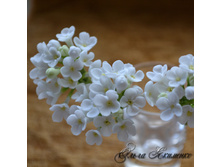 ������� ��� ����� "����� ������"