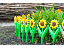 ��� ����� ��������� �������� ���.jpg