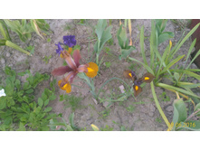 P 20160619 203328 1 p.jpg