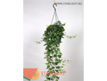 ������ ��������� ��������� (120) 995.0