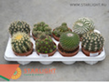 ������ (20) 295.00