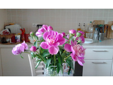 IMG 20160612 095016.jpg