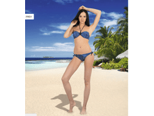 �������: DB2309