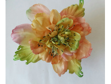 2016-04-28 11.15.35[1].jpg