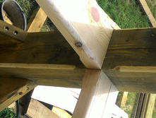 P 20160610 123643.jpg