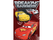 508920/1 ��������� ����. ������ 50*90 "����� �������"