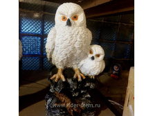 ��-168 ���� �������� H-38�� ���� 650,00.jpg