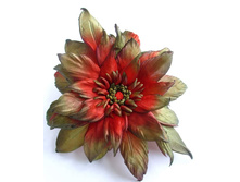 FB IMG 1465382826108[1].jpg