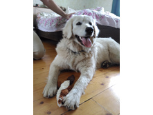 IMG 20160521 125806.jpg