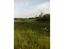 IMG 20160616 170818.jpg