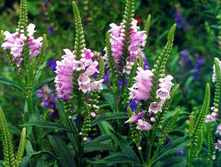 ���������� ���������� 90