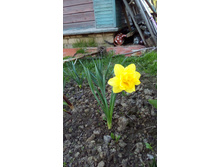 P 20160506 180615.jpg