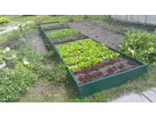 �������������� ����