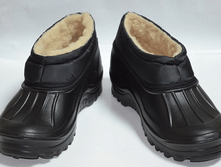 ������ ���