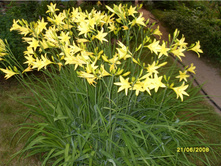 �������� ��������