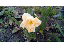 9f2fd6c2cb42f451a8420d6cf4904d0ebaf4c7169b415b551281fb86f01478ac — �����.jpg