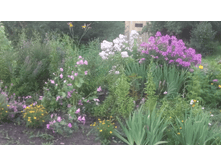 ������ ���������� � �����