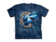 Productvar 64617.jpg