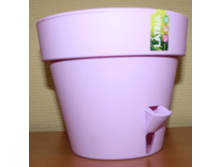 ������ �����.������