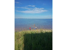 ��������  (19).JPG