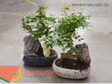 ������ ����� ��� �������� (30) 1 395.00