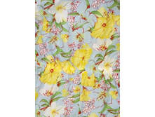 102800D2 �����.jpg