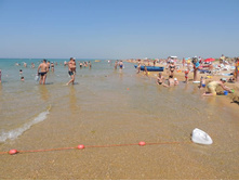 ���� ���� � ����