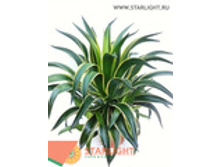 ����� (70) 5 550.00