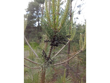 IMG 20160605 142603.jpg