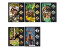 ������� 48�. �5 ������ �������� ������� ���� 17,63.jpg