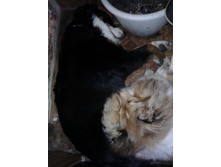 IMG 20160529 221638.jpg