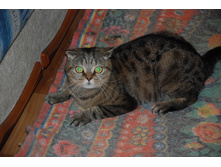 8.09.2013� �.���������. ��� (63).JPG