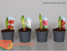 ����������1 (20) 195.00