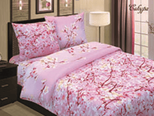 ������ ���..png