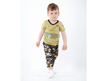 VA 681 camoflauge 4.jpg.jpg